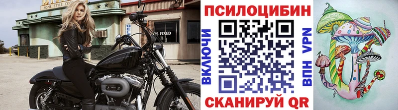 Псилоцибиновые грибы ЛСД  как найти закладки  Куртамыш 