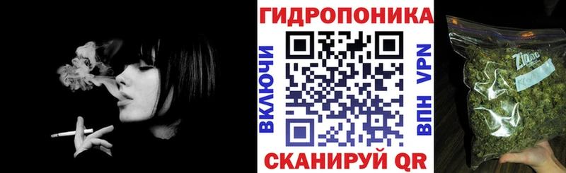 Каннабис индика  Куртамыш 